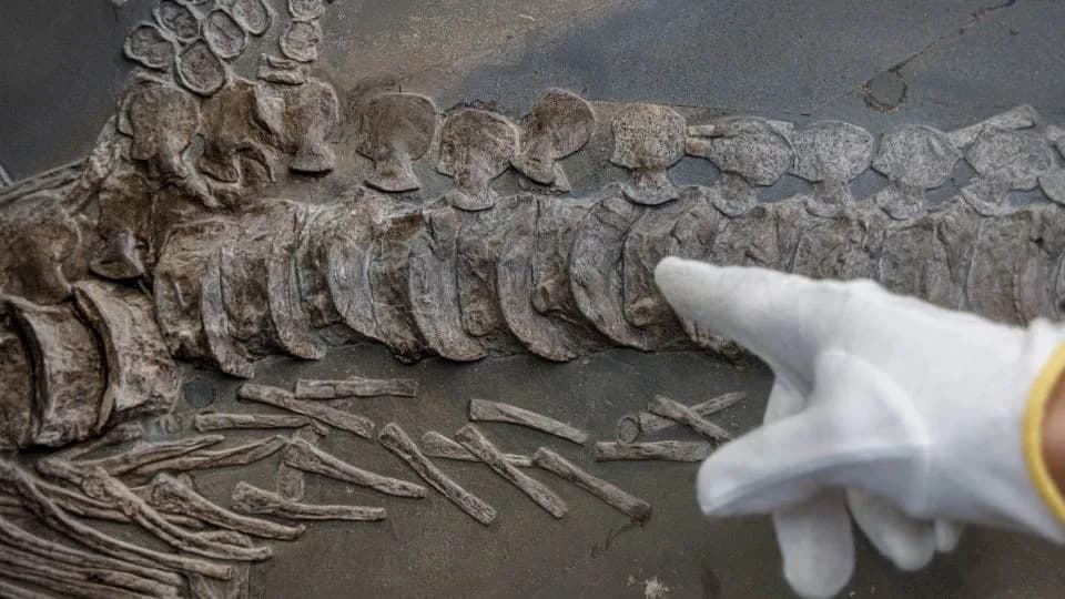 Silurijanska hipoteza: Da Li Bi Tragovi Neke Prethodne Napredne Civilizacije Preživeli Milione Godina?