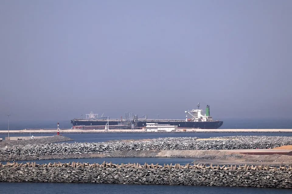Superspreder invazivnih vrsta: Zaustavljeni brodovi kod Tjesnaca Hormuz prete globalnim ekosistemima