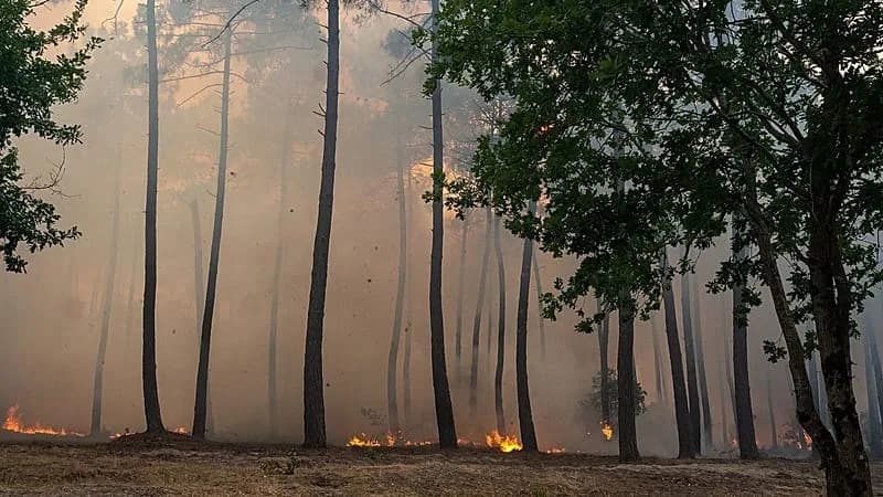 Evakuacije u predgrađima Bordoa dok požari pustoše jugozapad Francuske i Španiju
