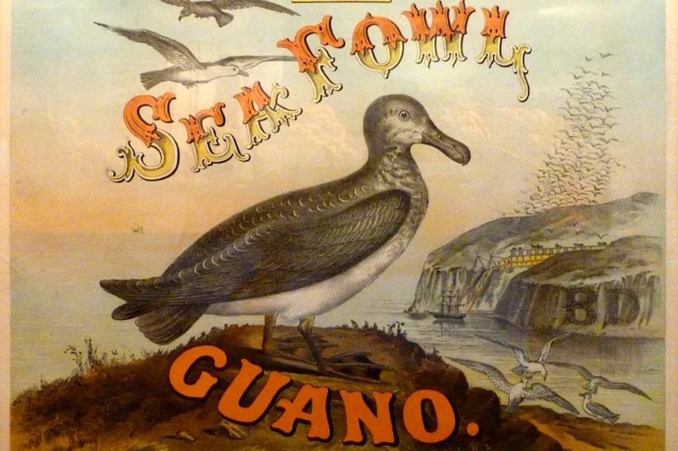 Kako Je Ptičji Izmet Nahranio Svet: Guano, Poljoprivreda I Američki Imperijalizam