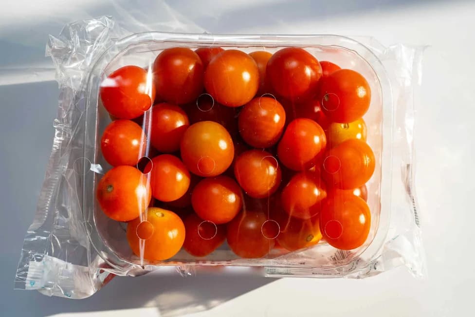 Može Li Kora Bundeve Postati Pakovanje Hrane Budućnosti? Istraživači Vide Potencijal