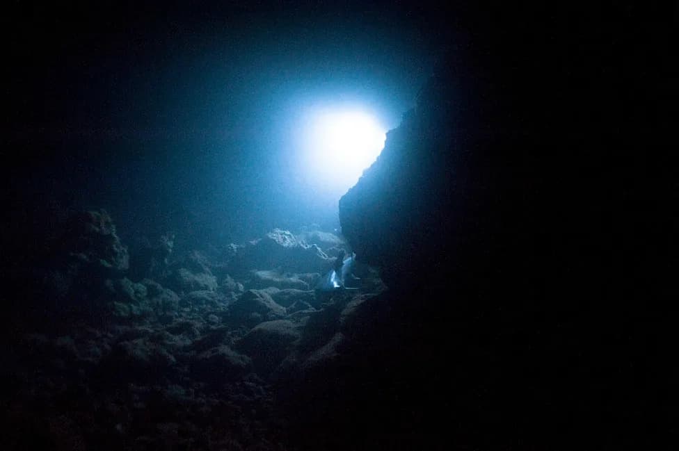 Novi „vanzemaljski“ predator iz Hadalne zone: Otkriven račić Dulcibella camanchaca na 8.000 m