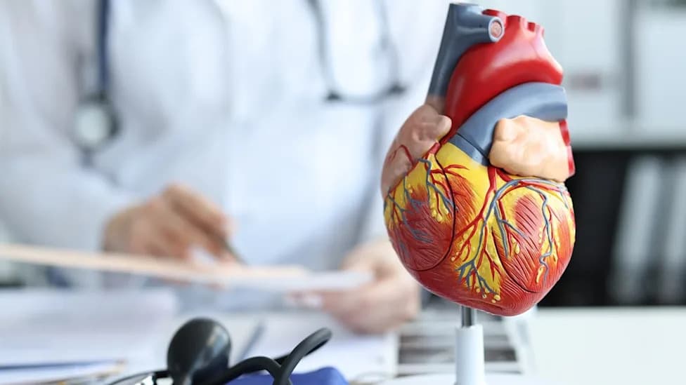 CHMP Podržao Širu Upotrebu Repathe: Evolokumab Za Prevenciju Prvog Infarkta Ili Moždanog Udara