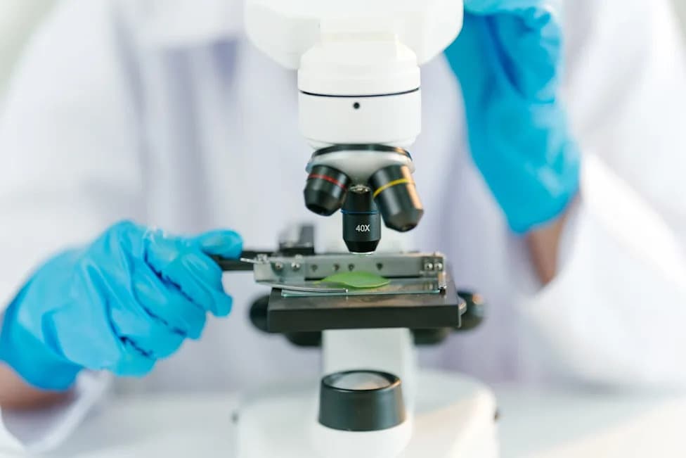 Laboratorijska greška u Juti: 33 osobe primile antibiotike nakon pogrešne identifikacije meningokoka