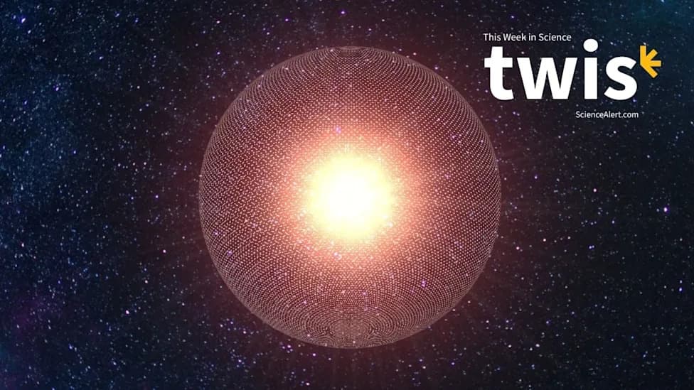 Nedeljni pregled nauke: JWST raskrinkao 'Dajsonove sfere', kreatin pojačava odbranu protiv raka, drevni 'turducken' i više