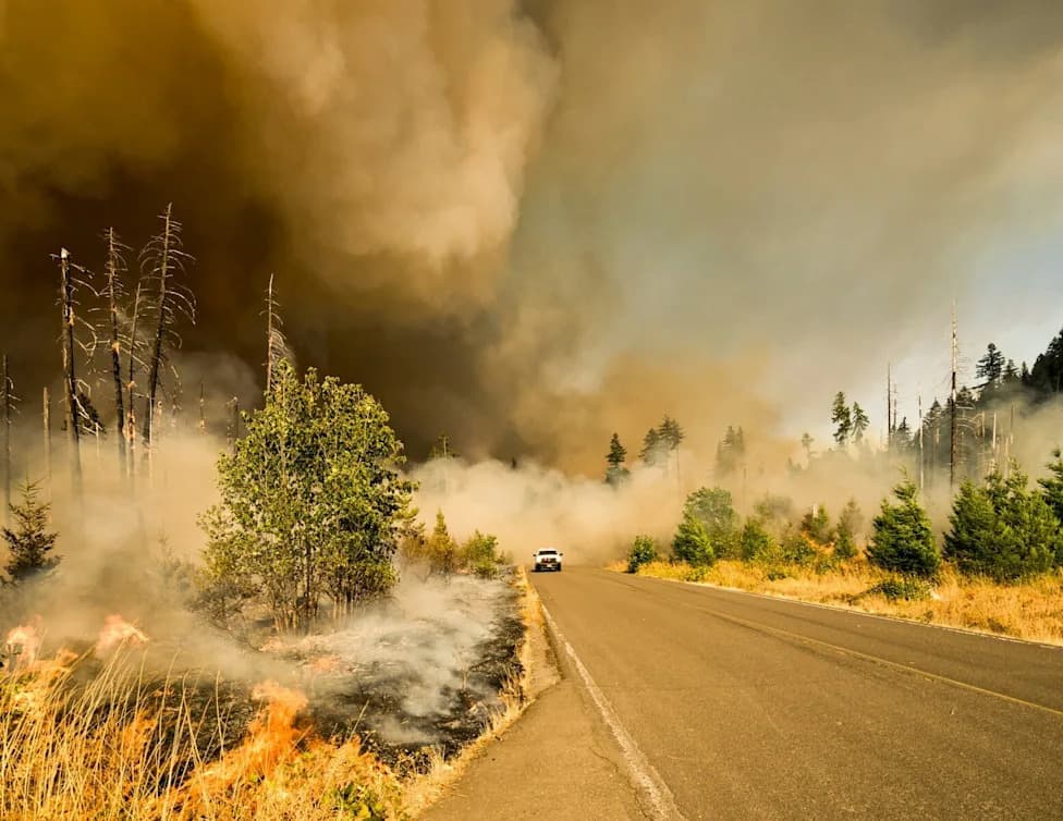 Globalna Sezona Požara 2026: Top 10 Zemalja Po Emisijama CO2 i PM2.5