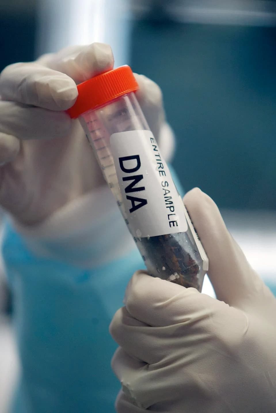 AI Model Evo Je Dizajnirao 16 Funkcionalnih Virusnih Genoma — Posledice Za Biobezbednost i Terapiju