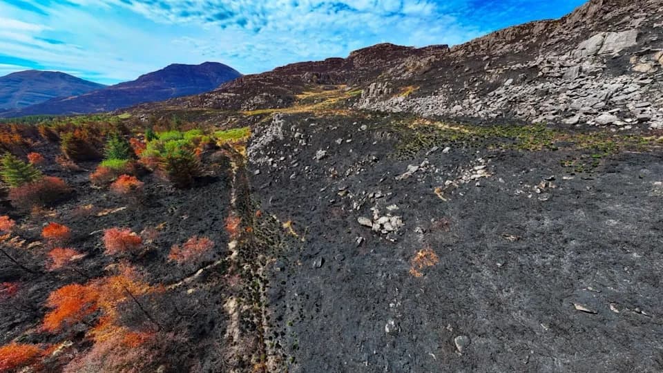 Požari u Velsu: Uništena tresetišta i staništa — oporavak može trajati vekovima