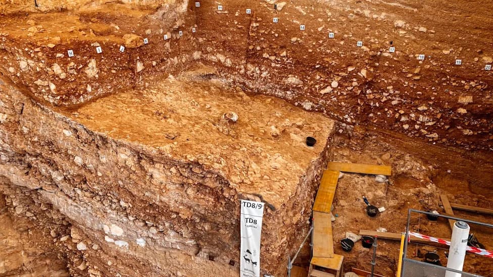 Gran Dolina Otkriva: Kanibalizam Homo antecessor Nije Bio Samo Za Decu