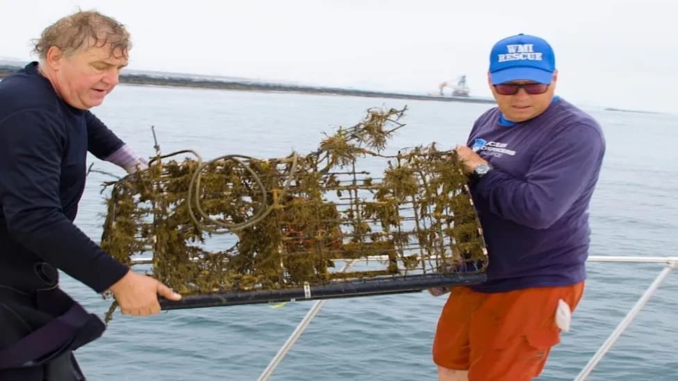 Ronioci Protiv "Ghost Gear"-a: Volonteri Izvlače Napuštenu Ribolovnu Opremu i Spašavaju Morske Živote