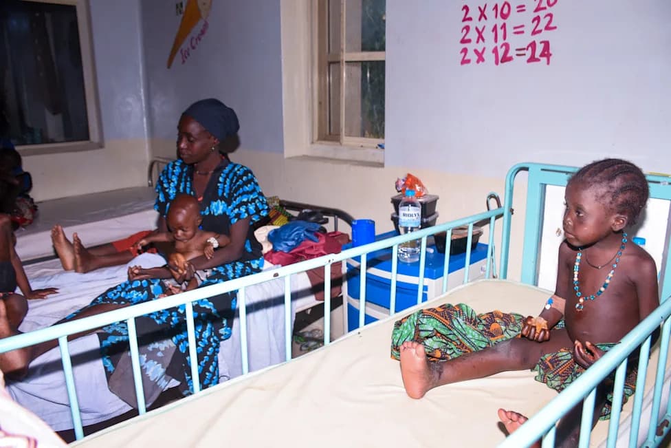 „Videli smo smrt i patnju“: 163 Nigerijca Oslobođeno Posle Šest Meseci U Džihadističkom Zatočeništvu