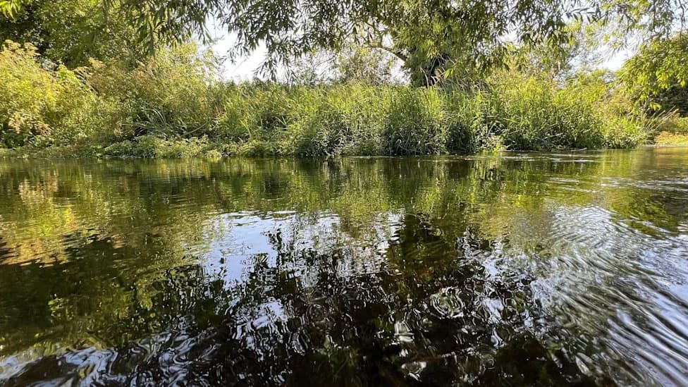 Reka Pang Ocenjena Kao "Loša" Uprkos "Flagship" Projektu Thames Water-a