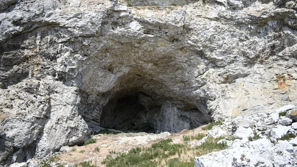 Otkrivena Grobnica Trudne Tinejdžerke Stara 8.000–9.500 Godina Na Ostrvu Lilla Karlsö
