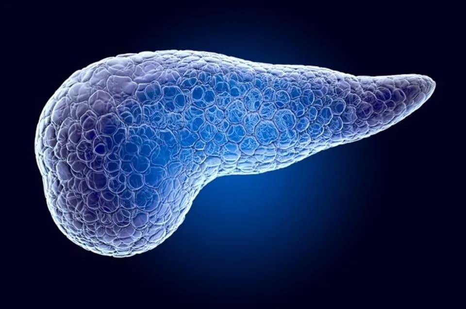 RNA Terapija Poboljšava Transplantaciju Beta Ćelija i Lečenje Dijabetesa