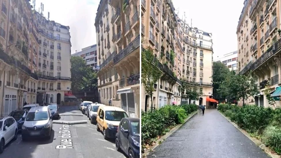 Više drveća, manje smrti: Pariz smanjio rizik od vrućine za 23,5%