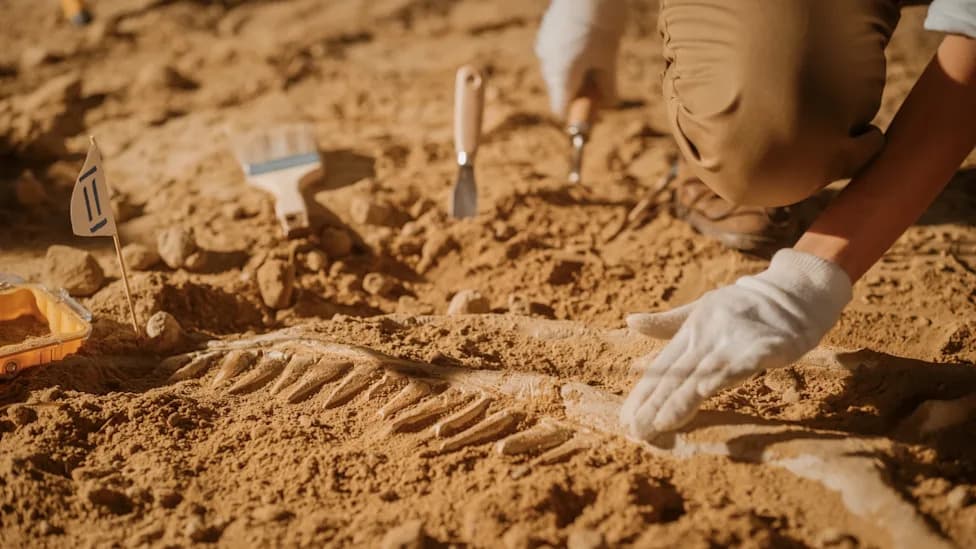 125 miliona godina star fosil iz Kine otkriva neobične šuplje bodlje na koži dinosaurusa