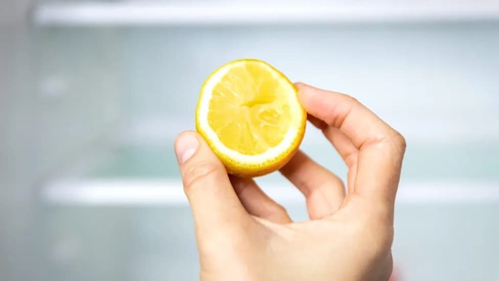 Molekul iz citrusa koji može pomladiti jetru — hesperetin povećava aktivnost gena CISD2 i poboljšava zdravlje jetre kod miševa