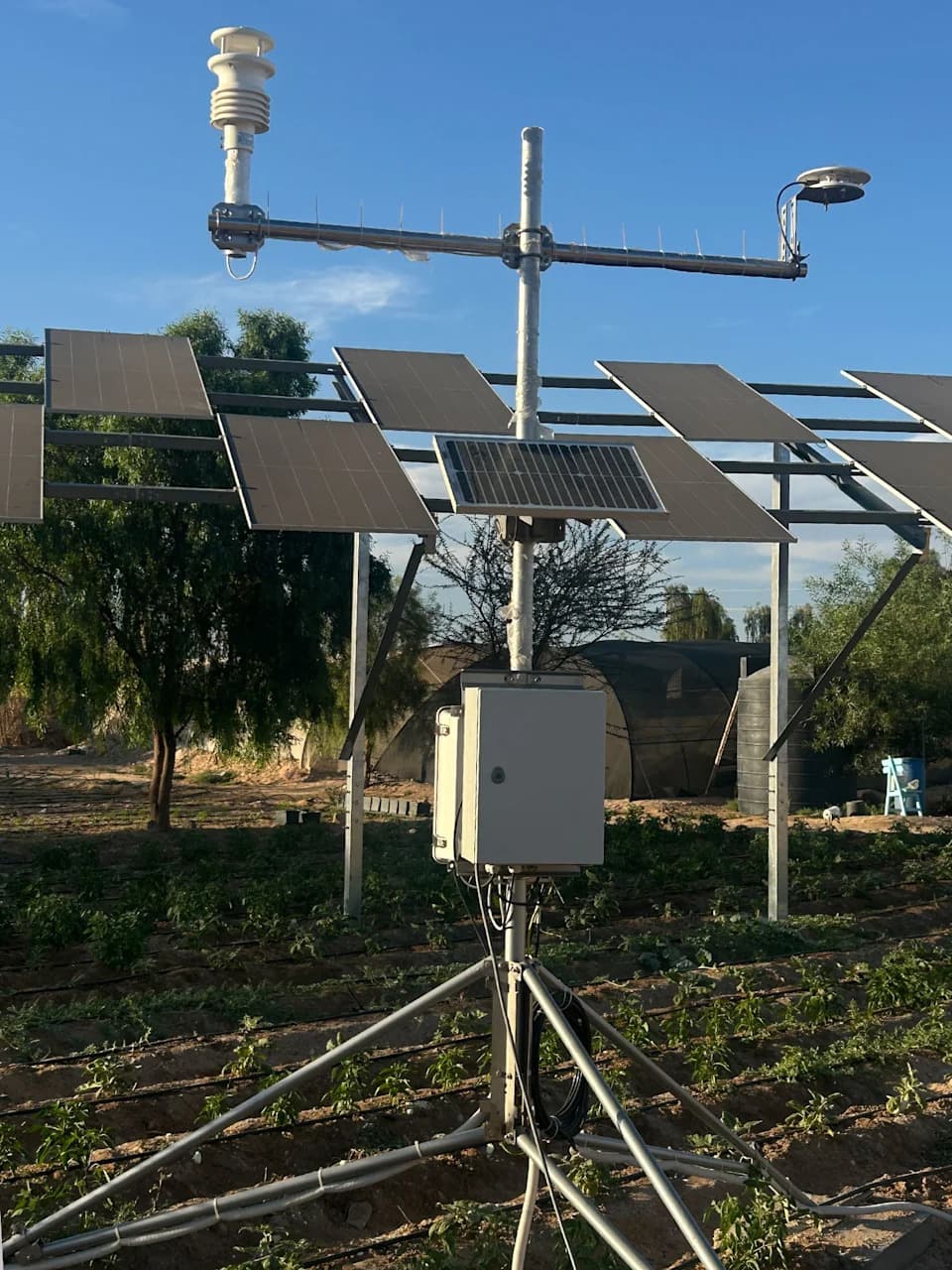 Kako agrivoltaika spašava egipatske useve: solarni paneli koji štede vodu i proizvode struju