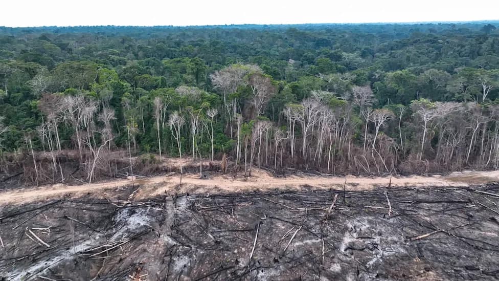 UN Upozorava: Svet Zaostaje Za Ambicioznim Ciljevima Zaštite Prirode Pre COP17