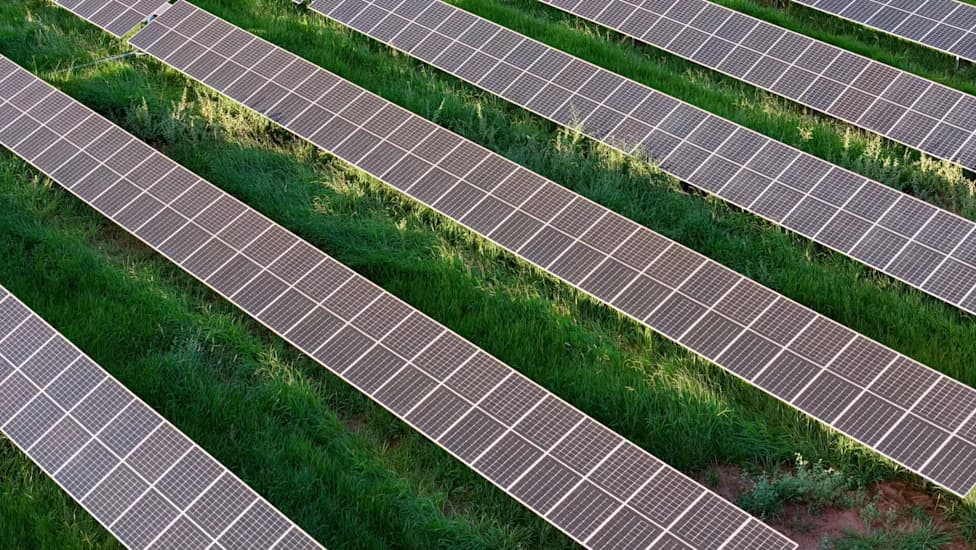 Ilinois Odobrio Gajenje Lucerke I Sena Ispod Solarnih Panela — Ipak, Zabrinutost Za Plodno Zemljište Ostaje