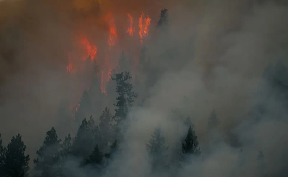 Kako okean pogoršava požare u Severnoj Americi: Zašto je Super El Niño opasan