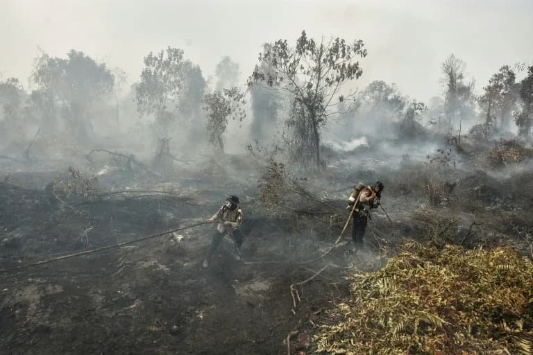 Gusta Izmaglica Požara U Indoneziji Ugrožava 3,4 Miliona Ljudi — Vlada Raspoređuje Helikoptere i Spasilačke Jedinice