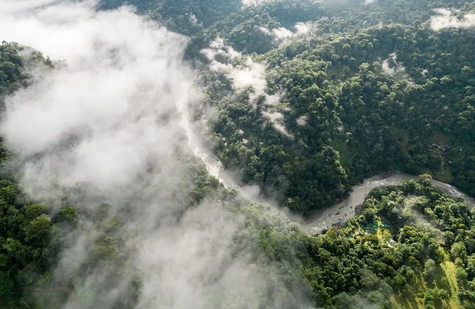 Monteverde: Oblačna šuma „umire od žeđi“ uprkos više od 2,5 m kiše godišnje