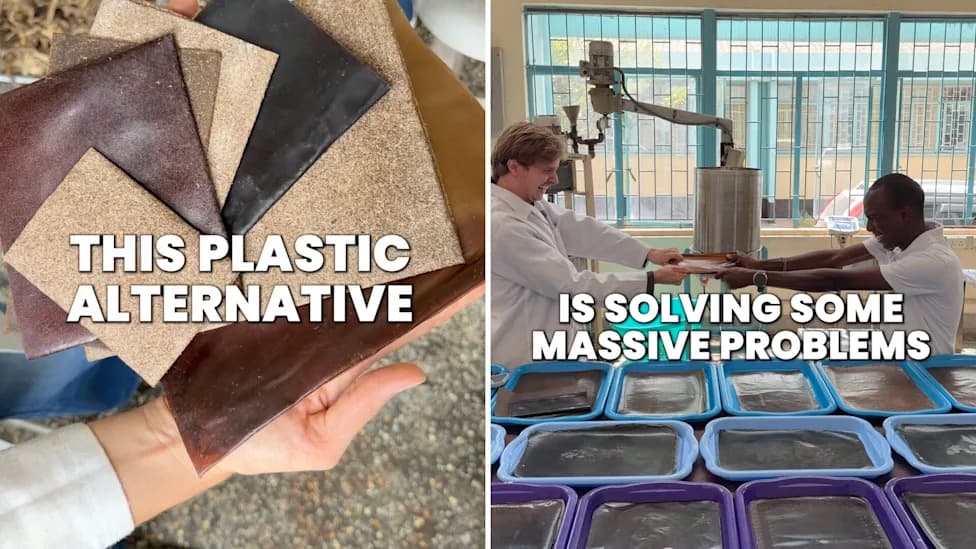 HyaPak: Kenijski Izum Koji Pretvara Invazivnu Vodenu Leknu u Razgradivu „Plastiku"