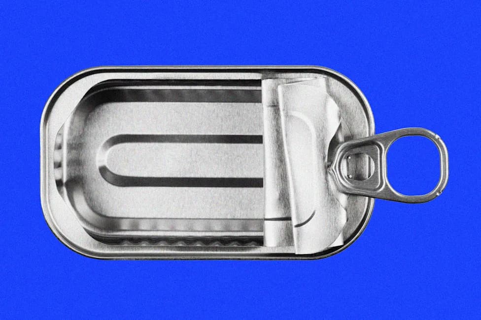 Gde su sardine? Zašto nestaju konzervirane sardine i kada se očekuje oporavak