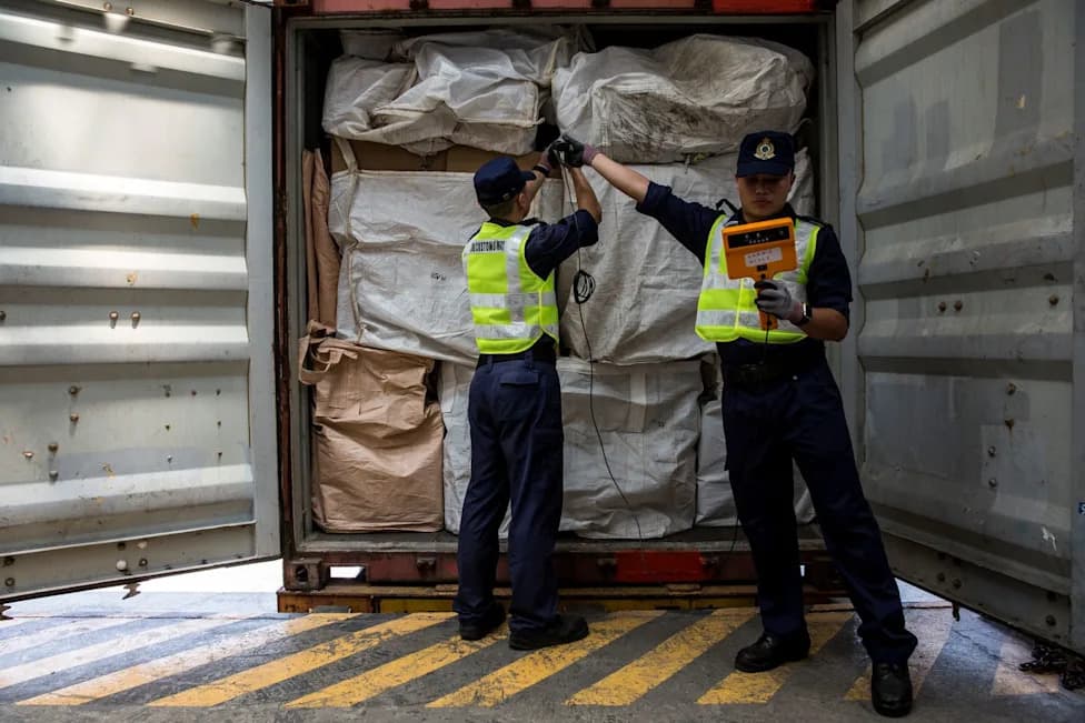 Hong Kong Zaplenio Kontraband Vredan Preko $3M: Fish Maw Ugrožava Totoabu i Druge Morske Vrste
