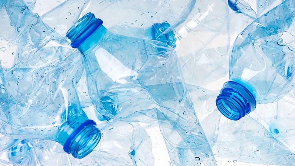 Neverovatni jestivi zalogaji: Naučnici pretvaraju plastične boce u µBites — kolačiće od otpada