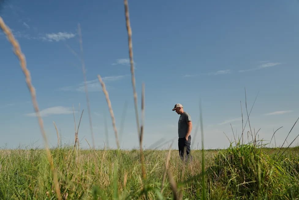 Trajne žitarice kao odbrana od ekstremnih vremenskih uslova — šta Kernza znači za farmere u Kanzasu