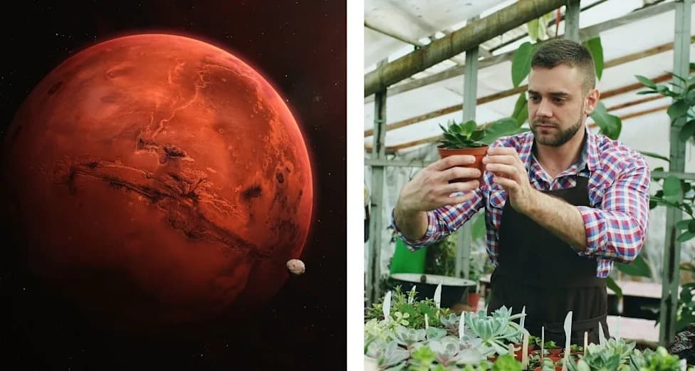 Može Li Mars Da Izgaja Hranu? Wieger Wamelink Napravio Simulirano Marsovsko Tlo i Posadio 4.200 Semena