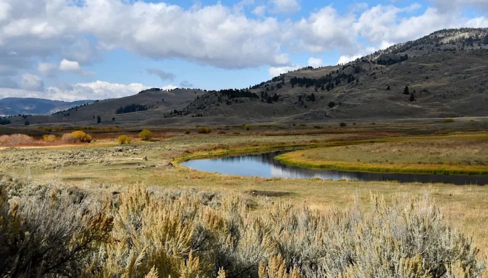 Yellowstone Privremeno Tretira Buffalo Creek Rotenonom Da Bi Zaštitio Autohtone Pastrmke