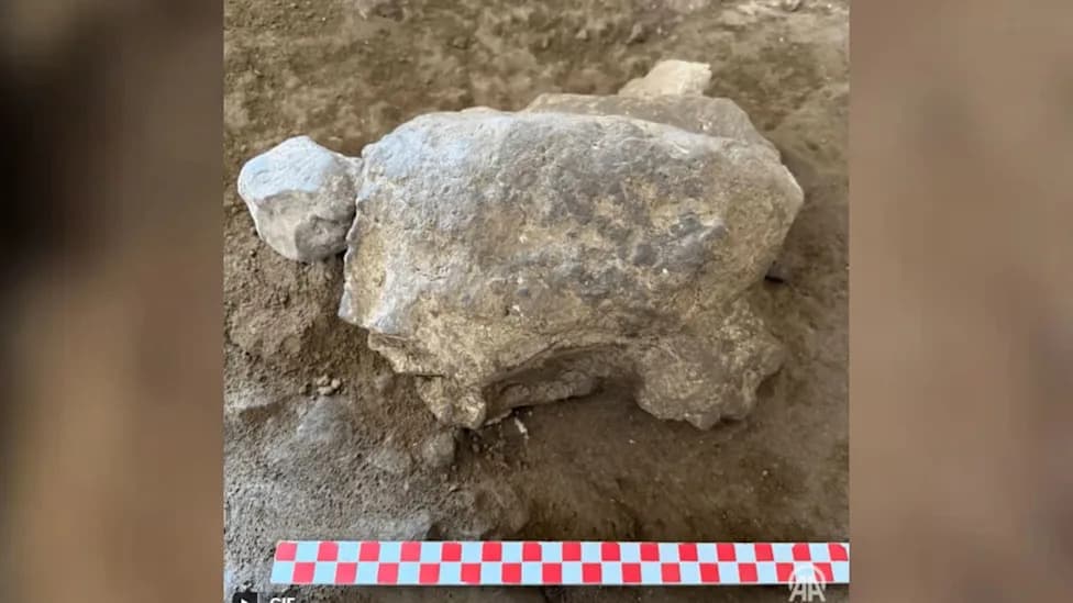 Sakup oko 25 kamenodobnih figurina kornjača u turskoj pećini ukazuje na ritualne prakse stare do 16.500 godina