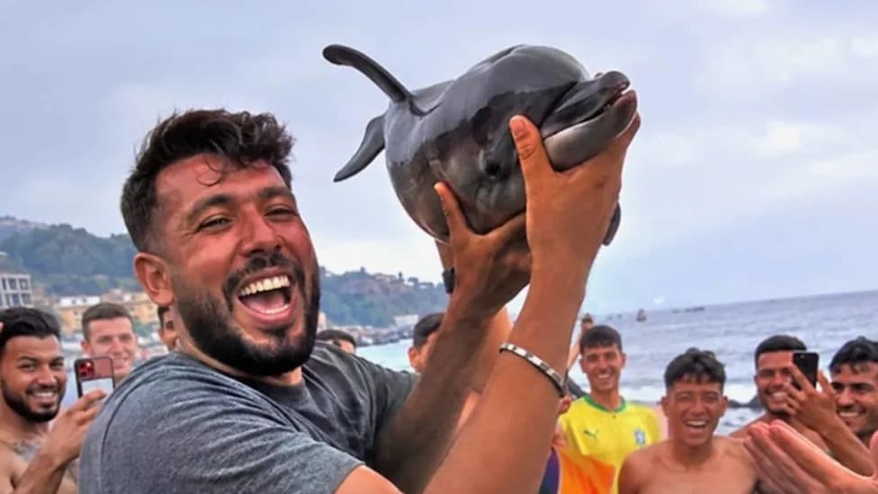 Užas u Ceuti: Viralni snimak prikazuje kako je mladog delfina pretukao grupa na plaži