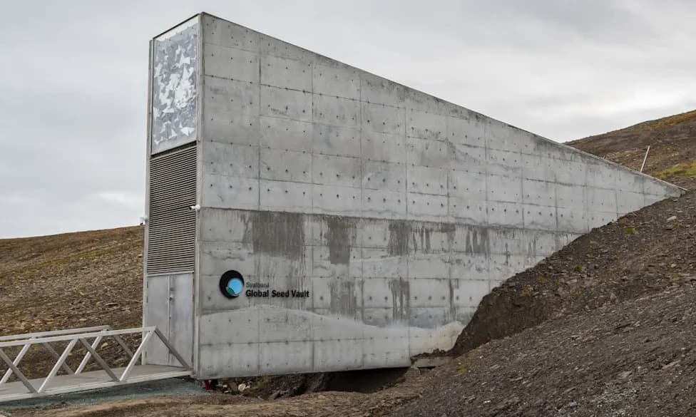 Veliki podzemni rezerv semena: tlo sadrži preko 5.000 semena po m² i nadmašuje Svalbard