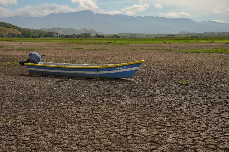 FAO upozorava: Snažan El Niño preti žetvama — u nekim regionima preko 50% šanse za sušu
