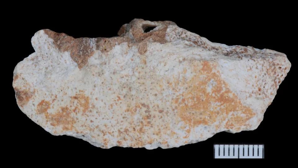 Sedam novih Denisovanovih fosila u Yunnanu otkriva način života misterioznih ljudskih rođaka