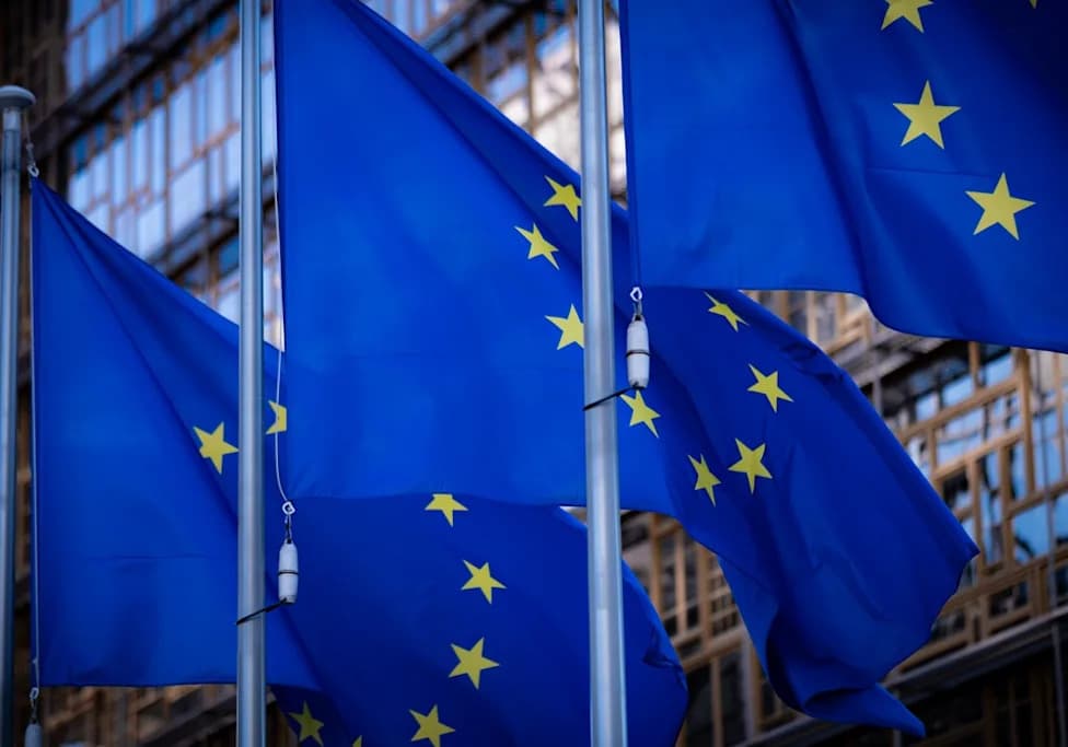 Novi EU Pravilnik O Javnim Nabavkama: Da Li Je Zaštita Ljudskih Prava Dovoljna?
