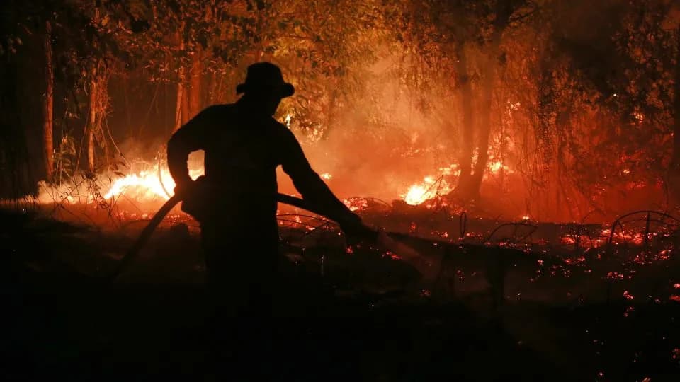 5 stvari za večeras: Rad od kuće, pojačan El Niño, velika zaplena droge i smrt Boba Mackieja