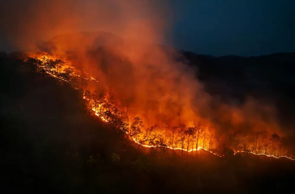 Gašenje Požara Može Samo "Odlagati Rizik" — Komandant Dallas Poziva Na Više Kontrolisanih Paljenja