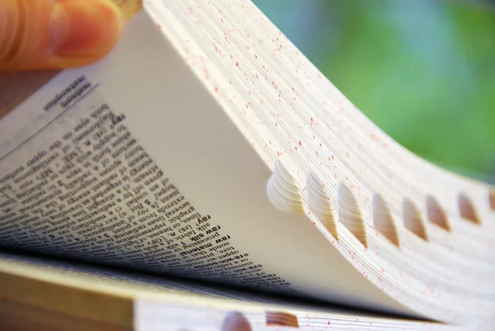 Dictionary.com Dodao 5.900 Reči: Od 'goated' Do 'agrivoltaics' — Najzanimljiviji Novi Unosi