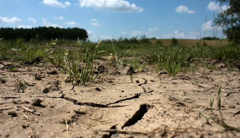 Suvo tlo podstiče otpornost bakterija na antibiotike — novi klimatski rizik za javno zdravlje
