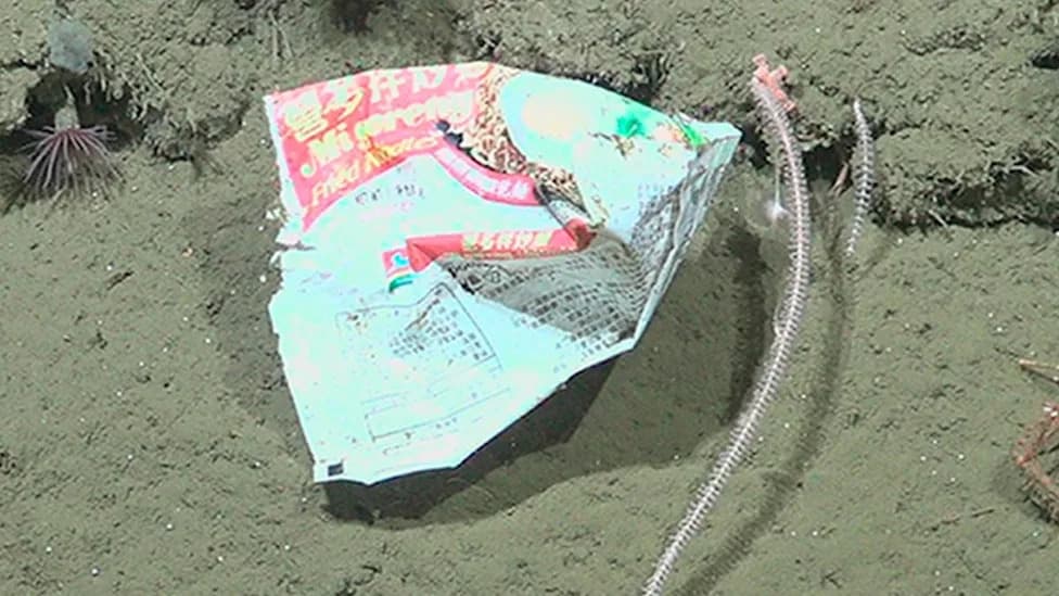 Mi Goreng Paket Pronađen Na 1.920 m — Plastika U Dubinama Mar del Plata Klisure